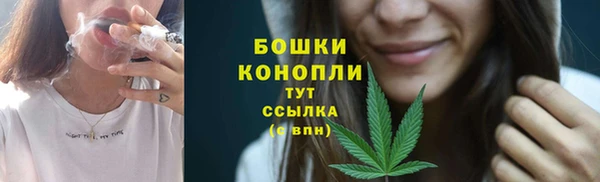 ГАЛЛЮЦИНОГЕННЫЕ ГРИБЫ Медвежьегорск