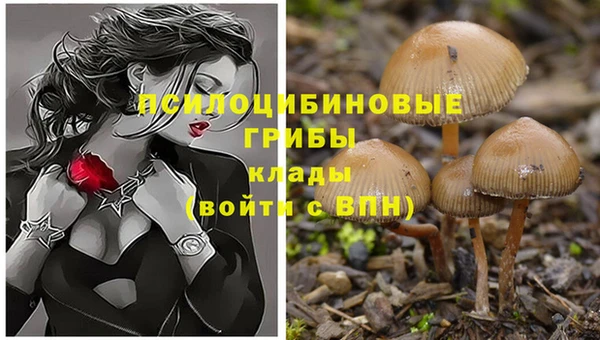 каннабис Магас