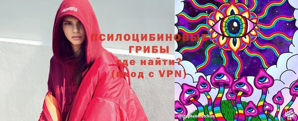 PSILOCYBIN Мегион