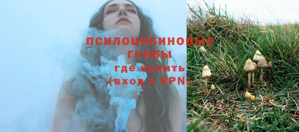 ГАЛЛЮЦИНОГЕННЫЕ ГРИБЫ Медвежьегорск