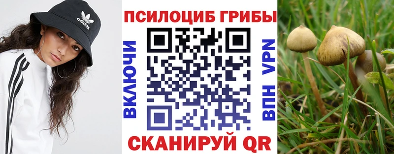 Галлюциногенные грибы MAGIC MUSHROOMS  купить наркоту  Мураши 